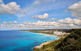 Sol Milanos Pingüinos